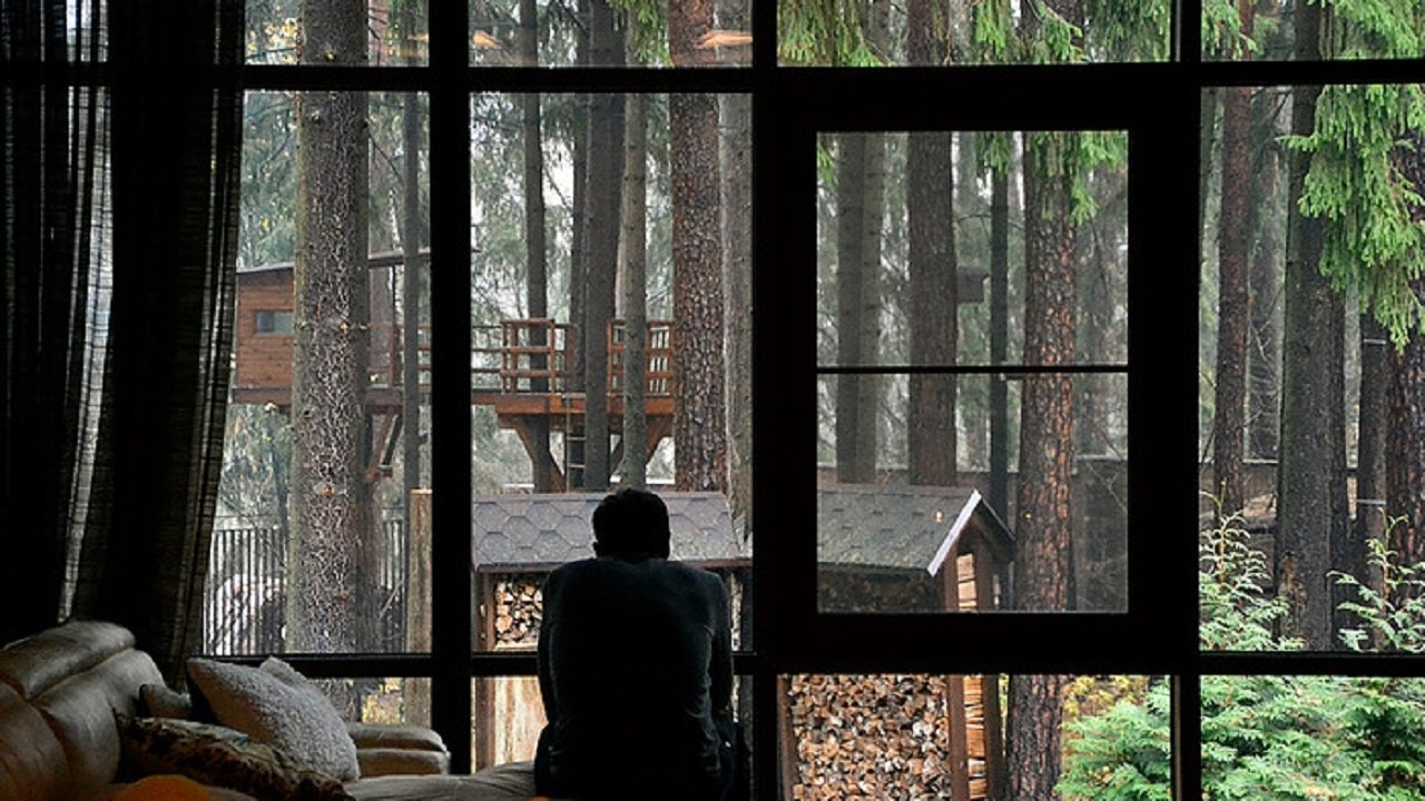 The Last Night backdrop