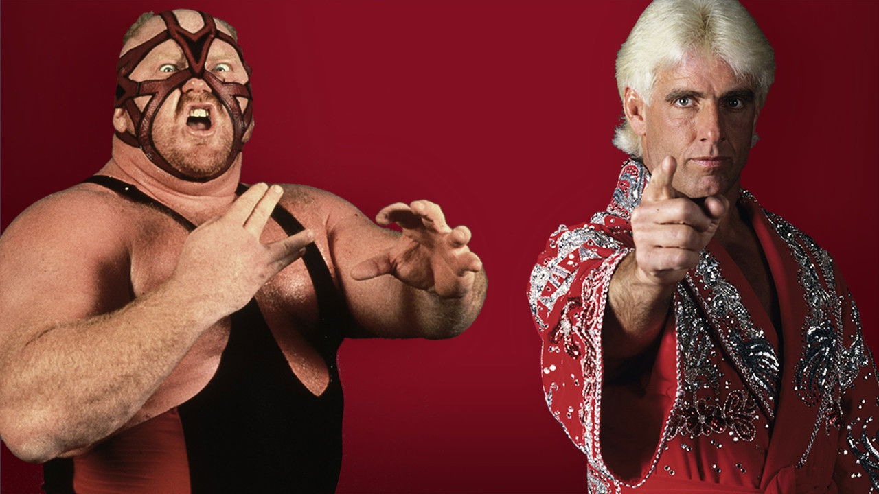 WCW Starrcade 1993 backdrop