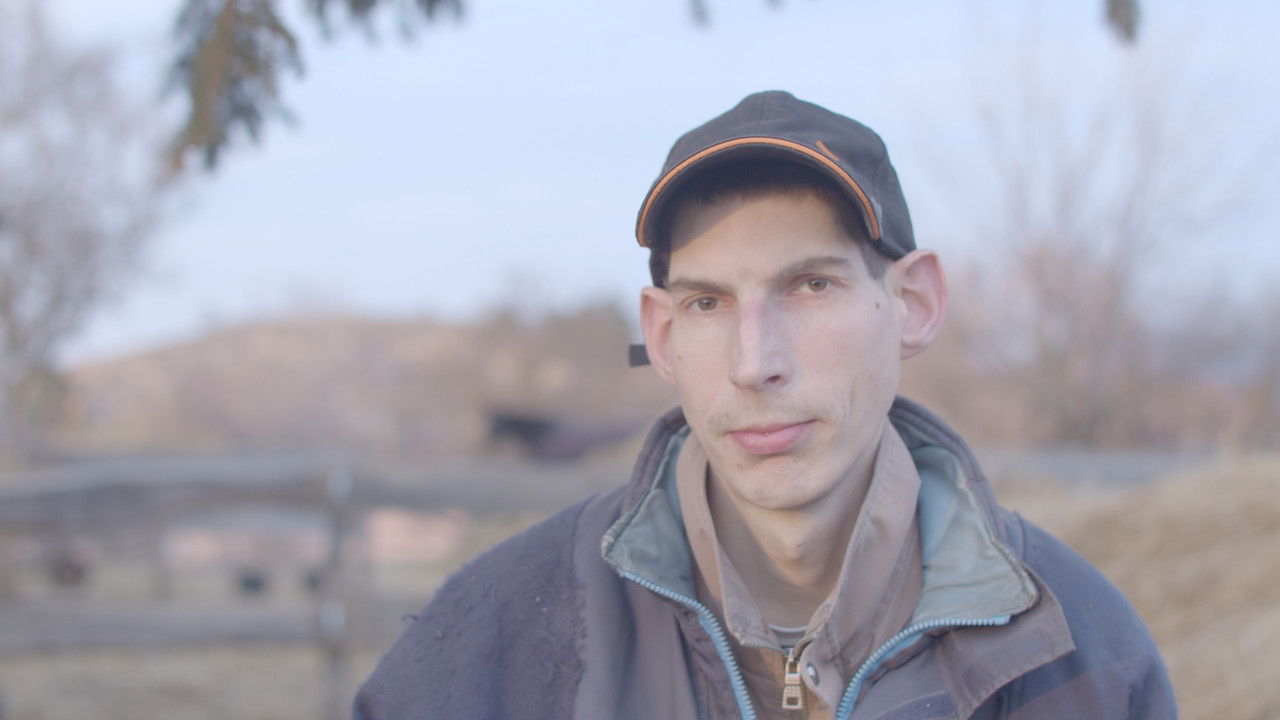 Peti Tick-tack backdrop