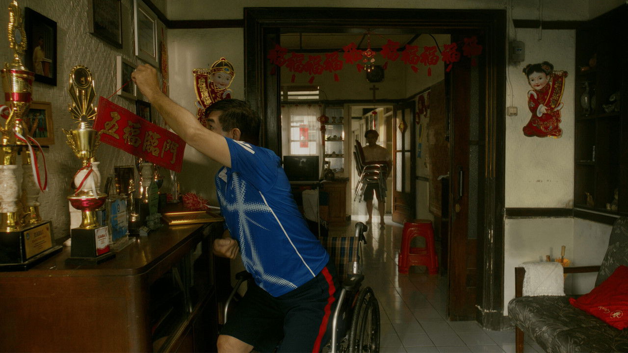 Rusa Jantan Yang Kehilangan Tanduknya backdrop