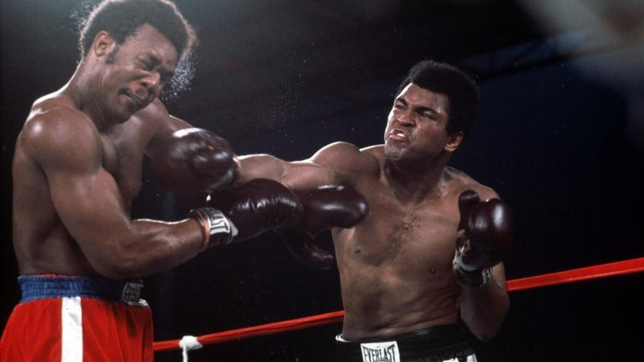 Rumble in the Jungle backdrop