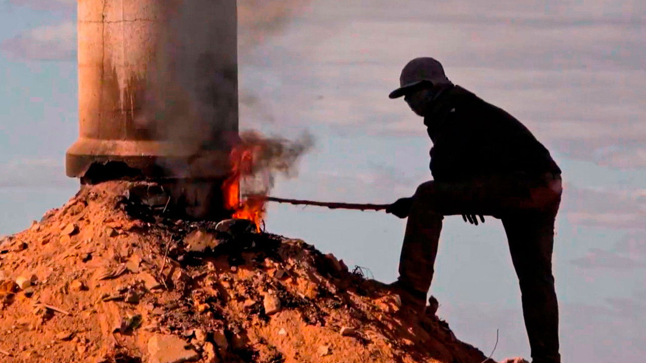 O Ambientalista backdrop