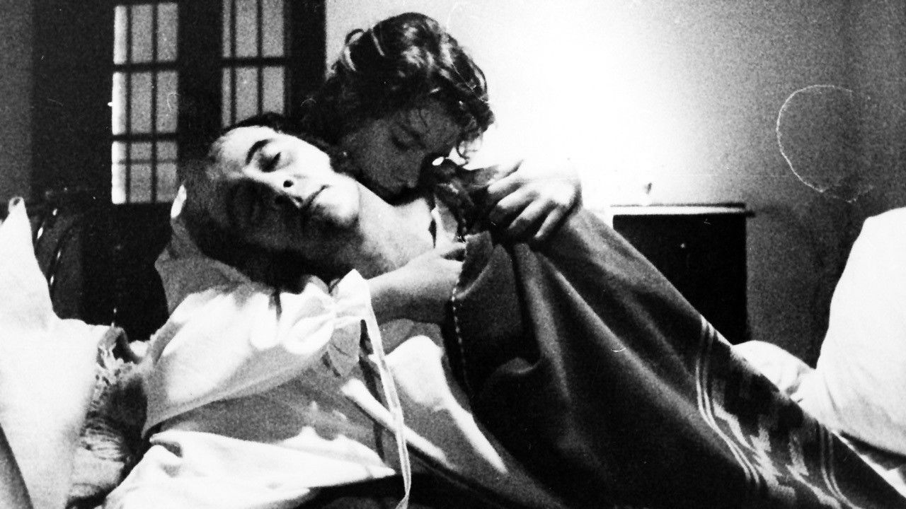 El general y la fiebre backdrop