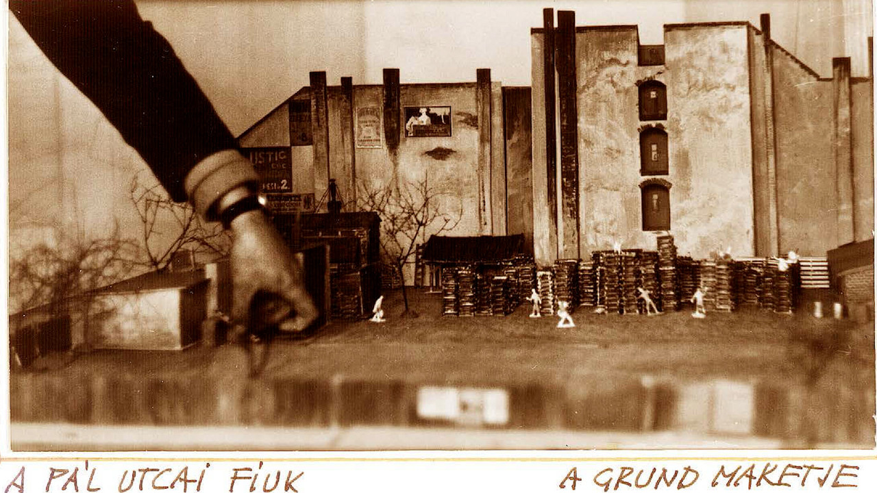 Remembrance of József Romvári backdrop