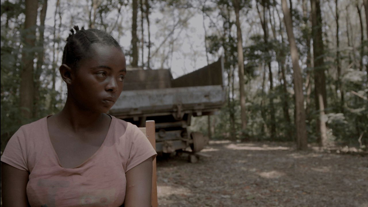 Seeds from Kivu backdrop