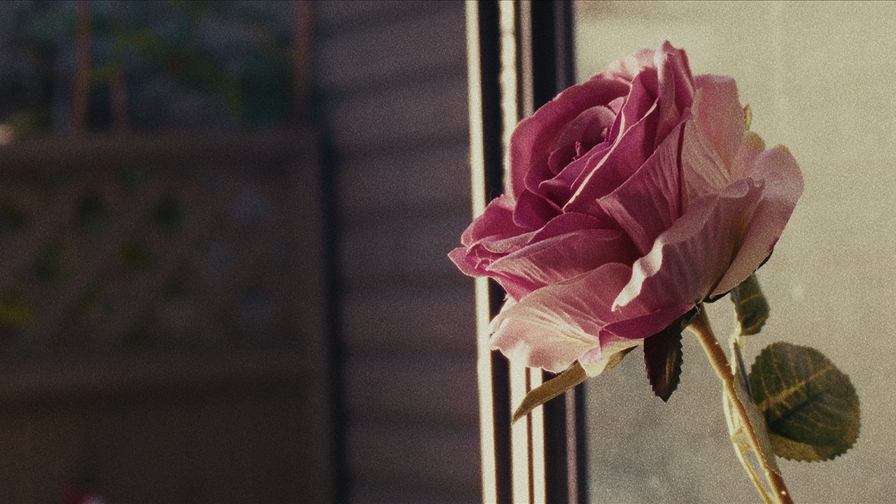 Dead to Rights backdrop