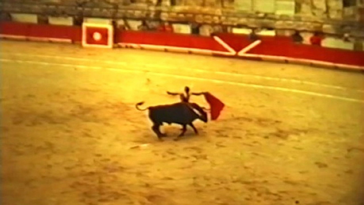 Minimalists Are On the Way backdrop