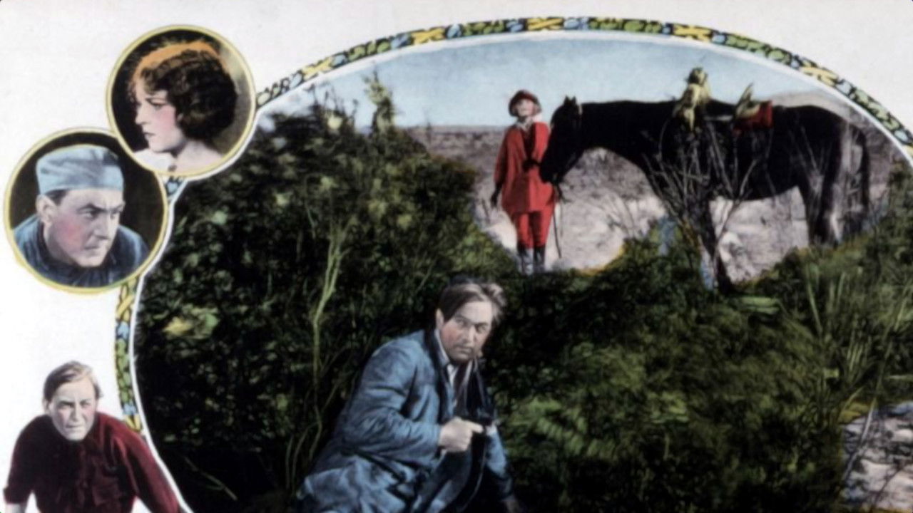 Desert Driven backdrop