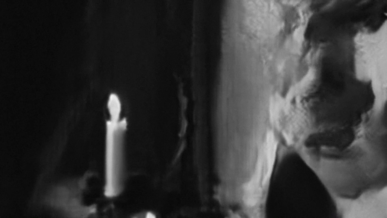 Untitled 5 (Not now. No, no.) backdrop