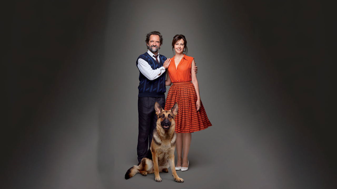 Qui est Monsieur Schmitt ? backdrop