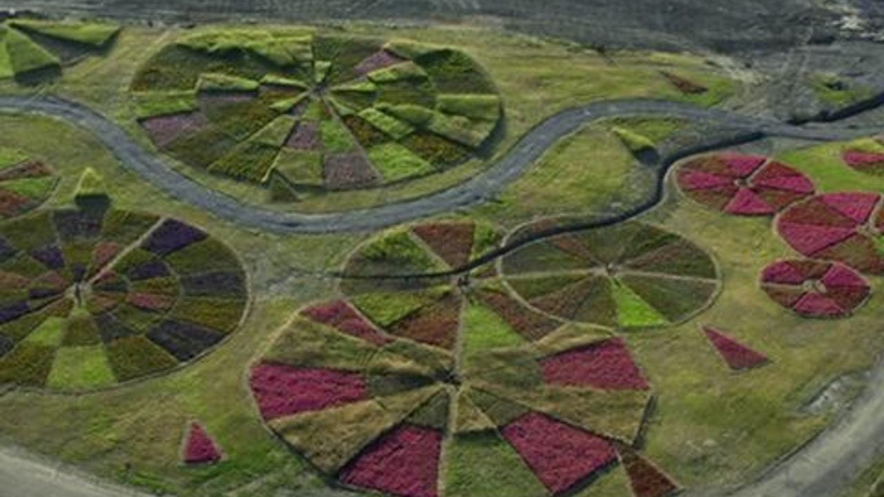 A Margem da Paisagem backdrop