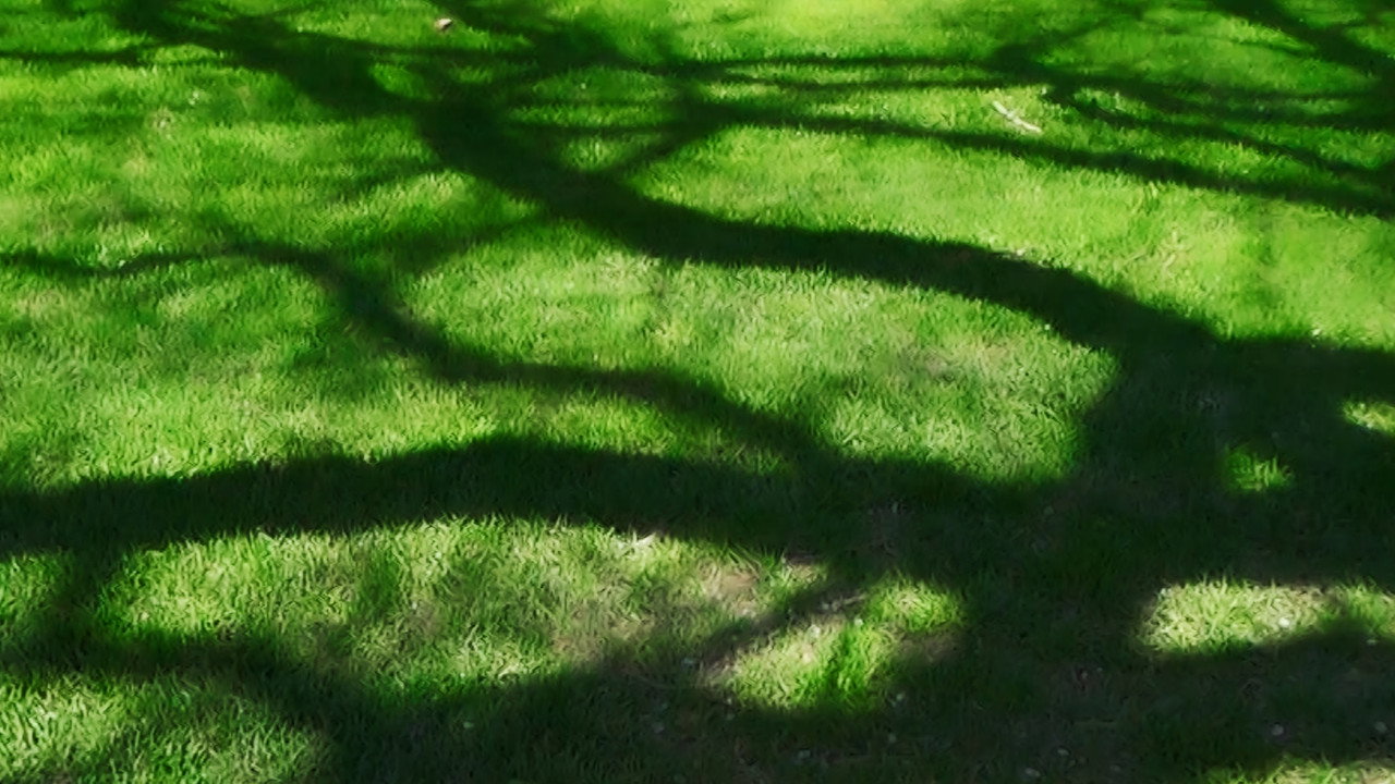 Inspection 02 backdrop