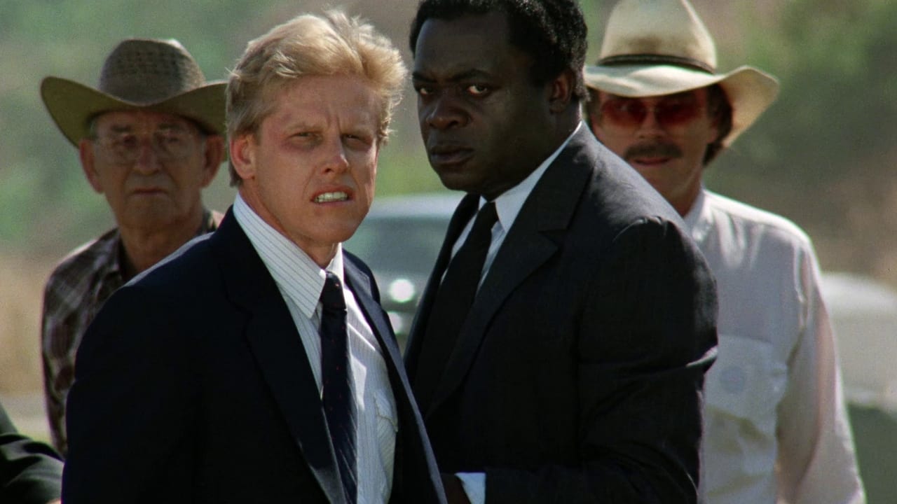 Eye of the Tiger backdrop