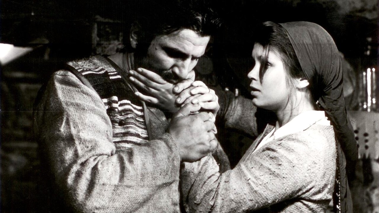 We're Cursed, Irina backdrop