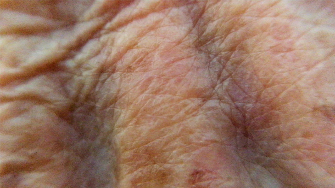 Julieta Sonata backdrop