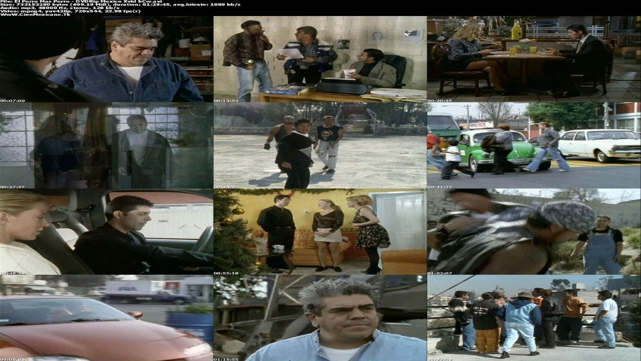 El Perro Mas Perro backdrop