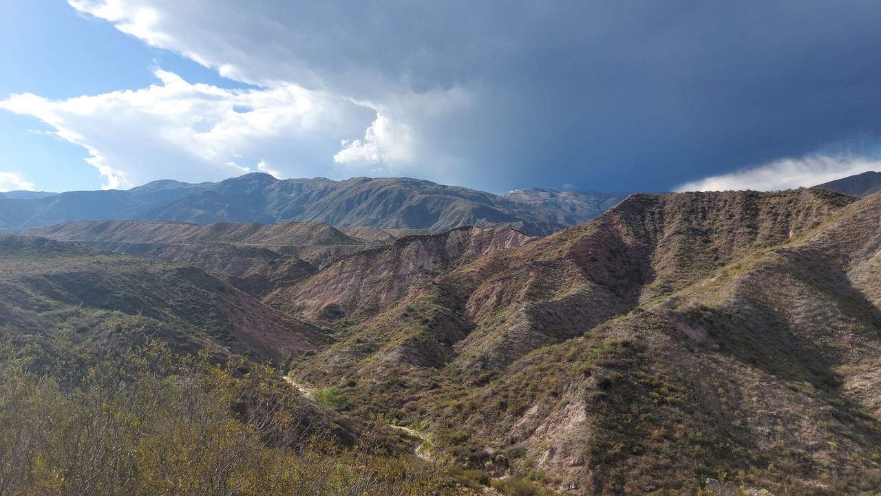 Undocumented backdrop