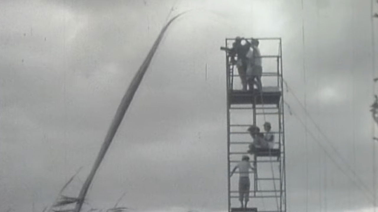 Onibaba : Film Location backdrop