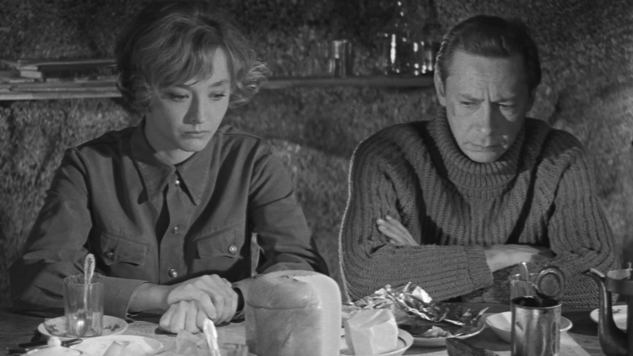 The Polynin Case backdrop