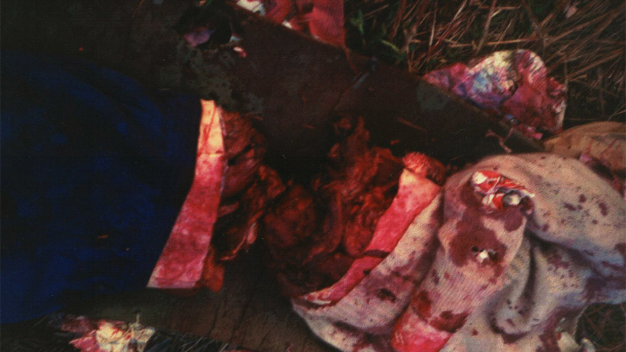 Das Wiener Kettensägenmassaker backdrop