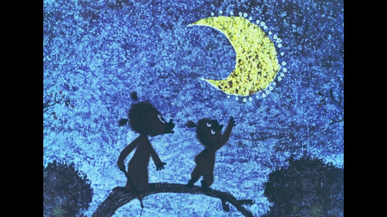 Autumn Fishing backdrop