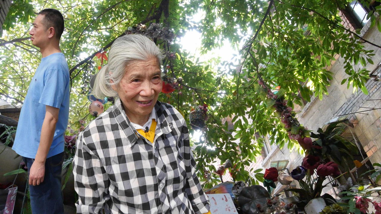 Ms. Hu's Garden backdrop