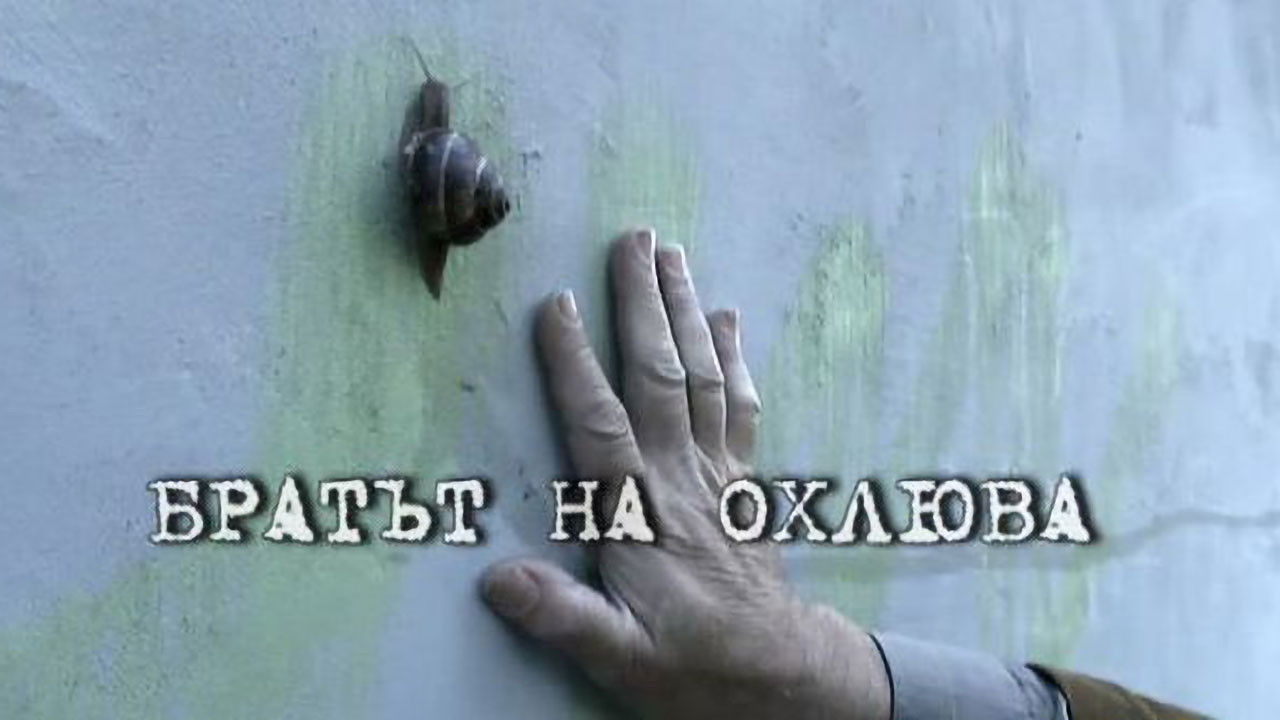 Brother of the Snail backdrop