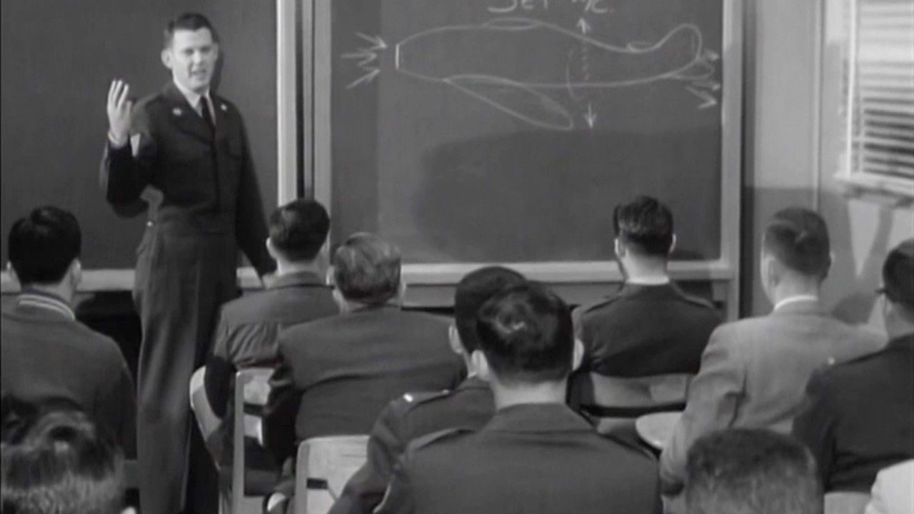 Sentinels in the Air backdrop