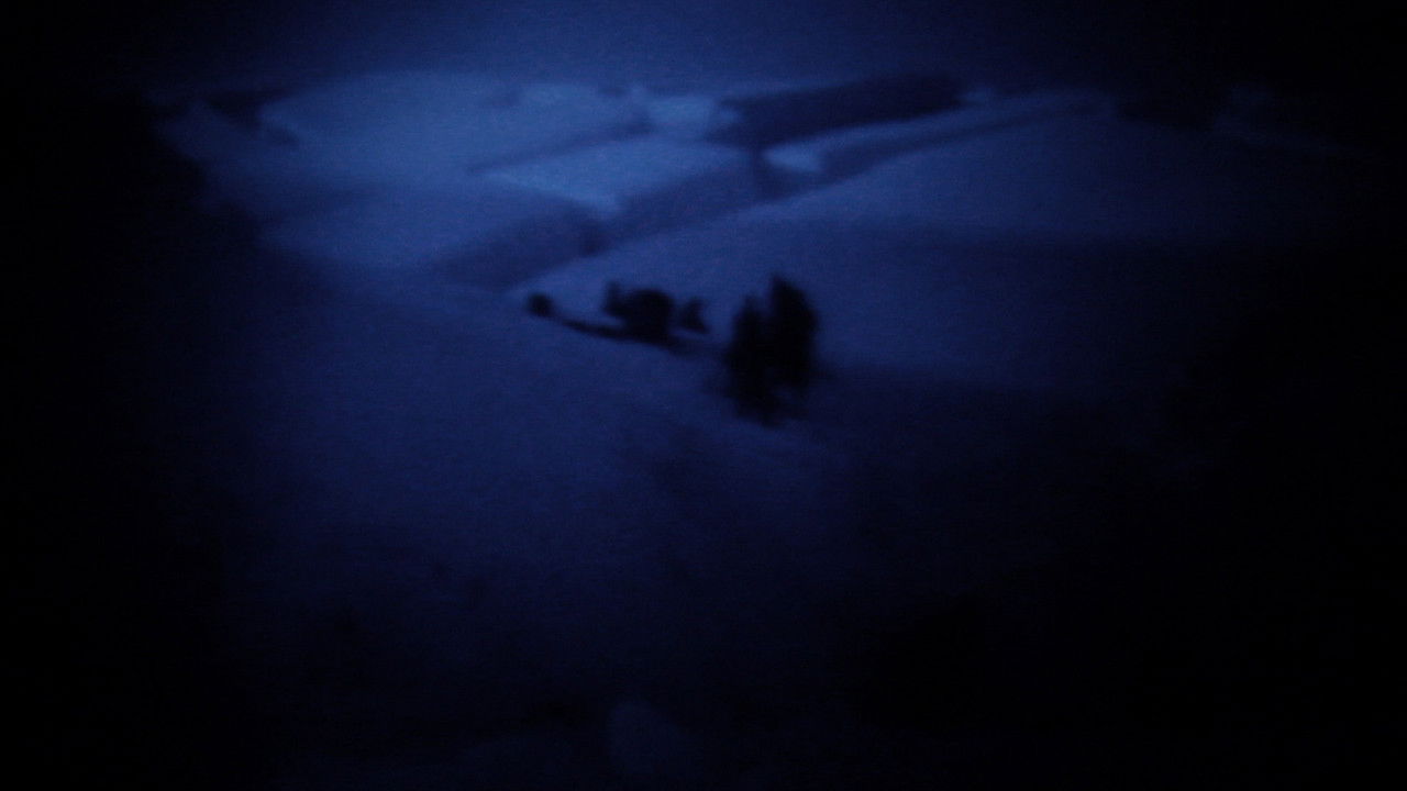 Polar Nights backdrop