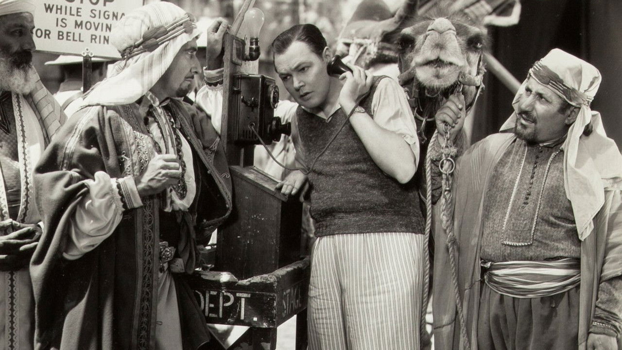 Hollywood Boulevard backdrop