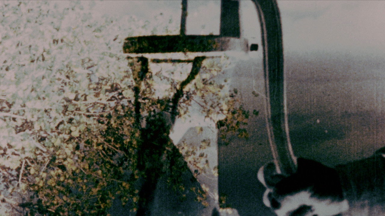 Let's Make a Sandwich backdrop