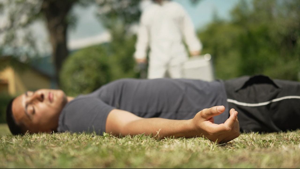 The Cleaner backdrop