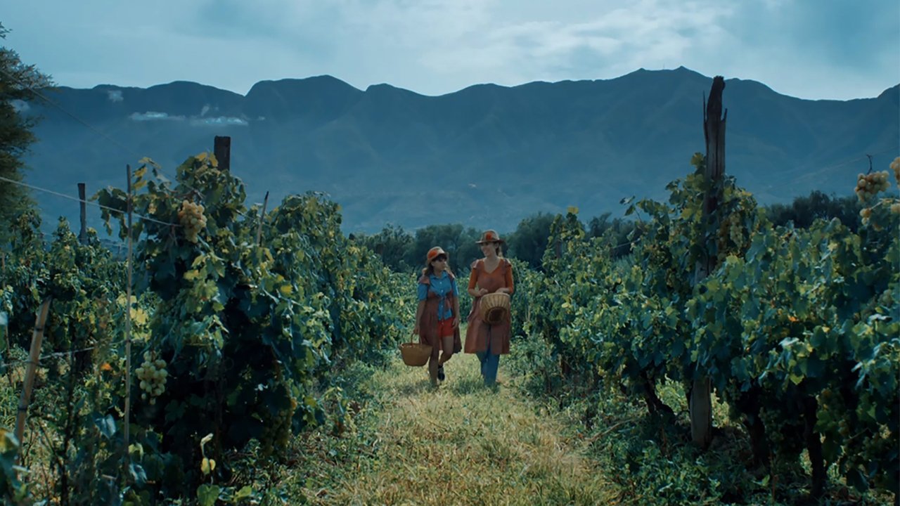 The Southern House backdrop