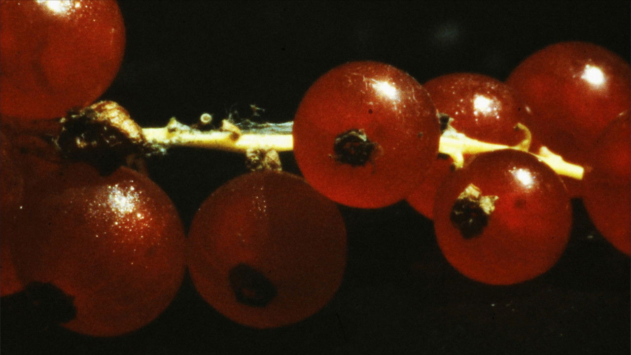 and so it came about (A Tale of Consequential Dormancy) backdrop