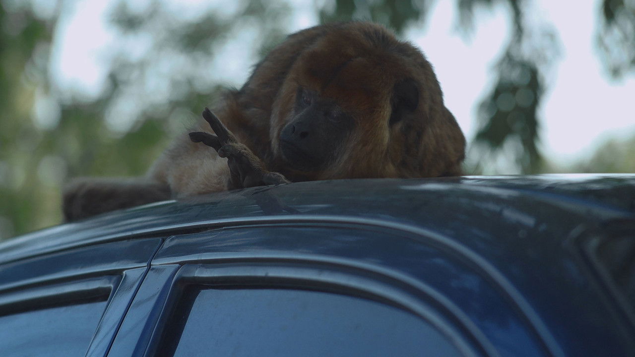 Intersections backdrop