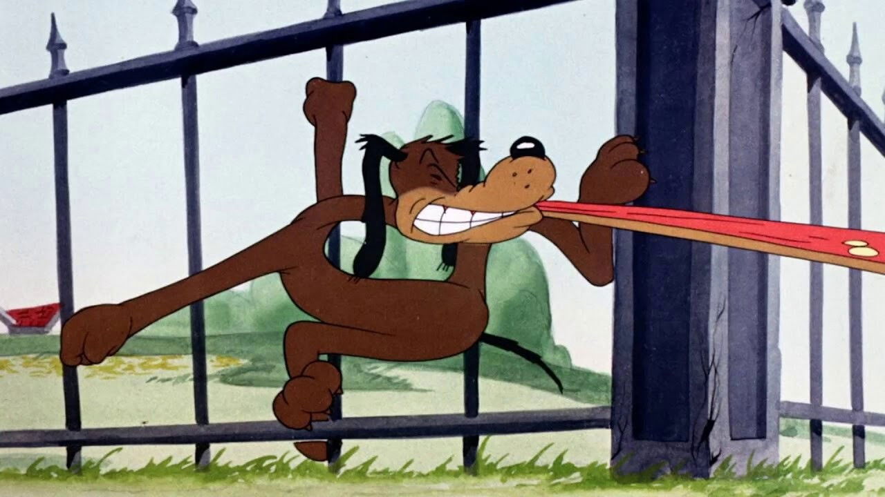 Behind the Meat-Ball backdrop