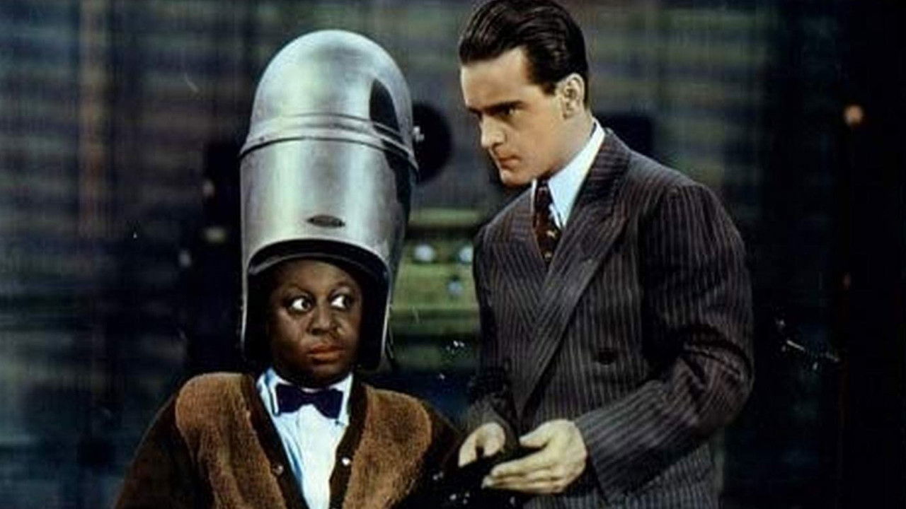 Laughing at Danger backdrop