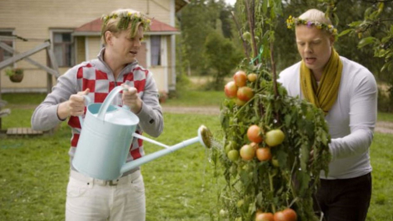 Juurikasvua backdrop