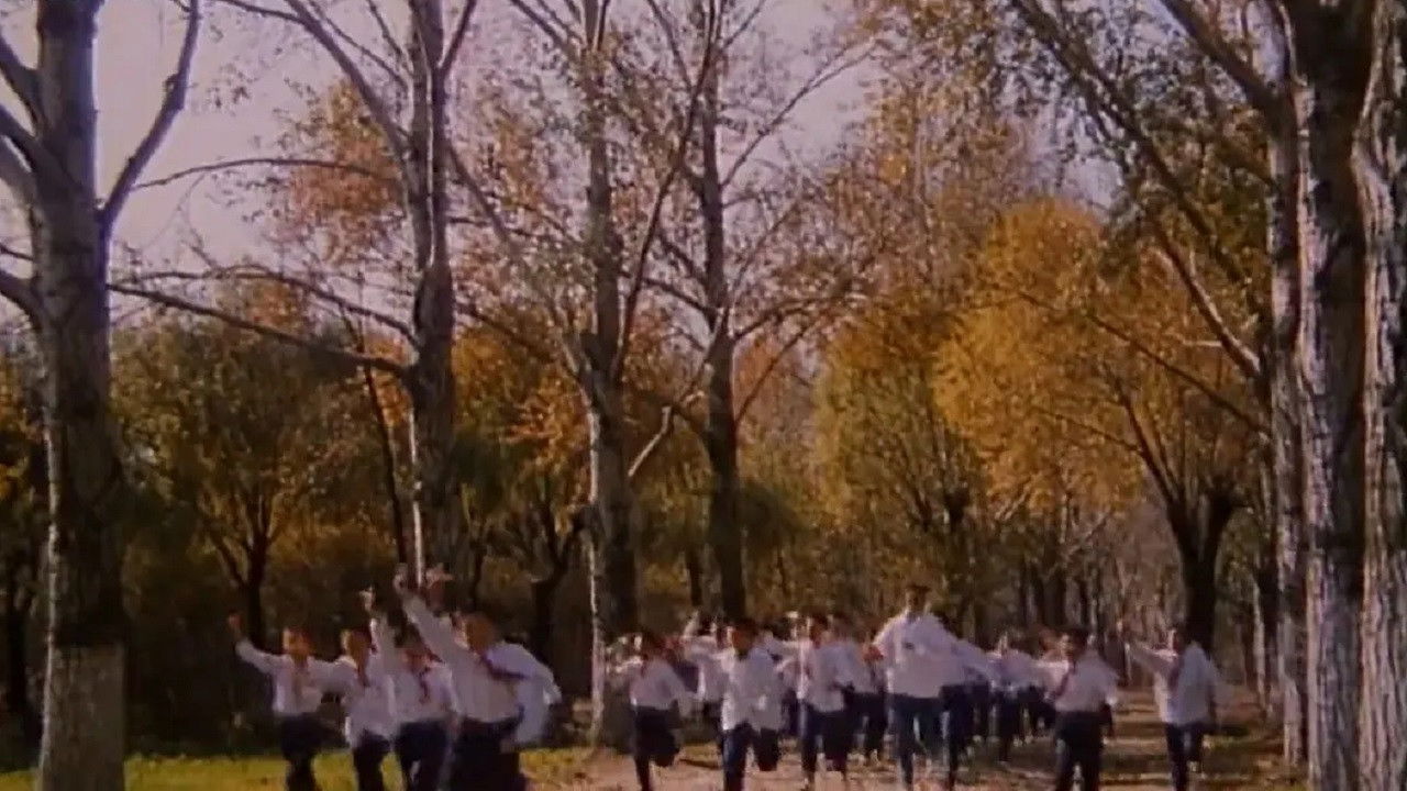 The Lost Dream backdrop