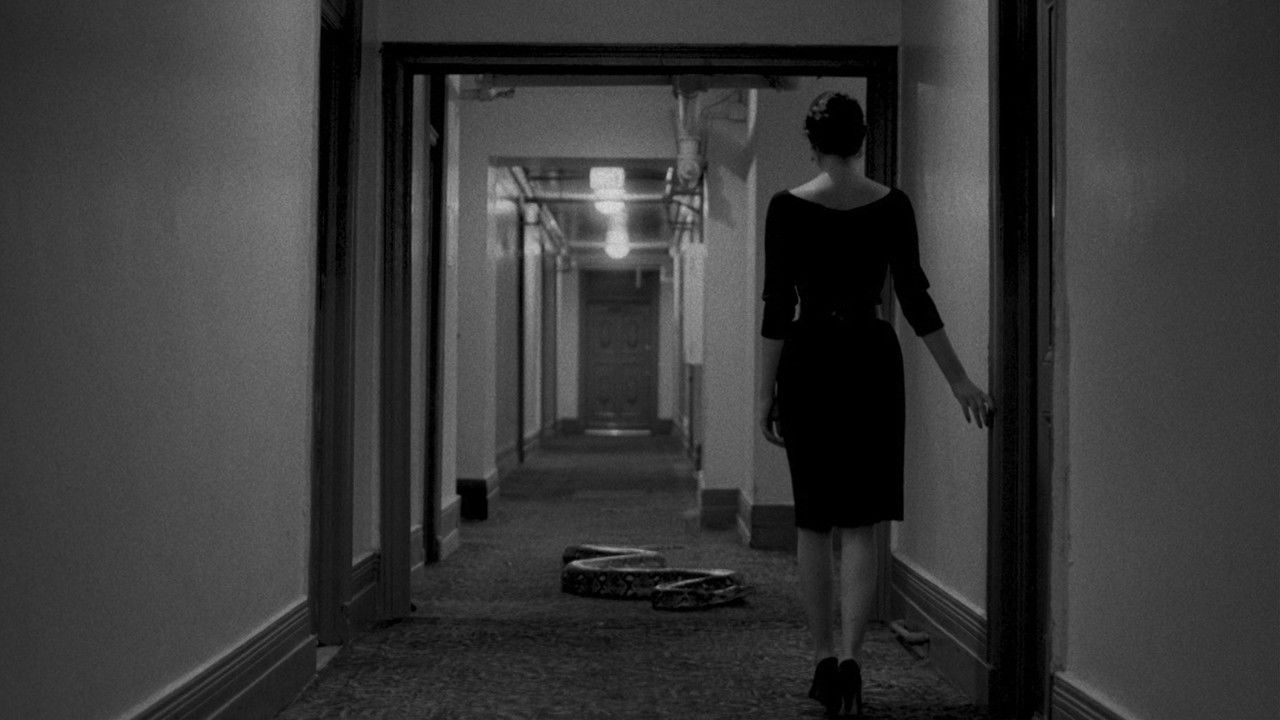 Phantom Love backdrop