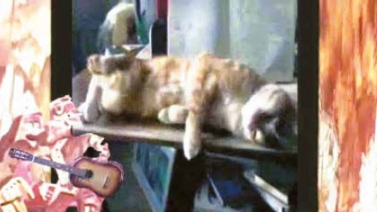 Romantic Ballad backdrop