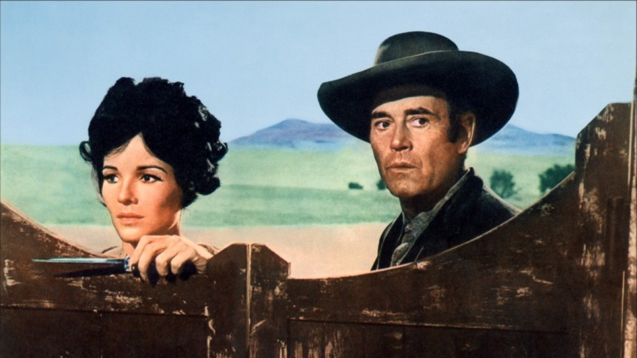 Welcome to Hard Times backdrop