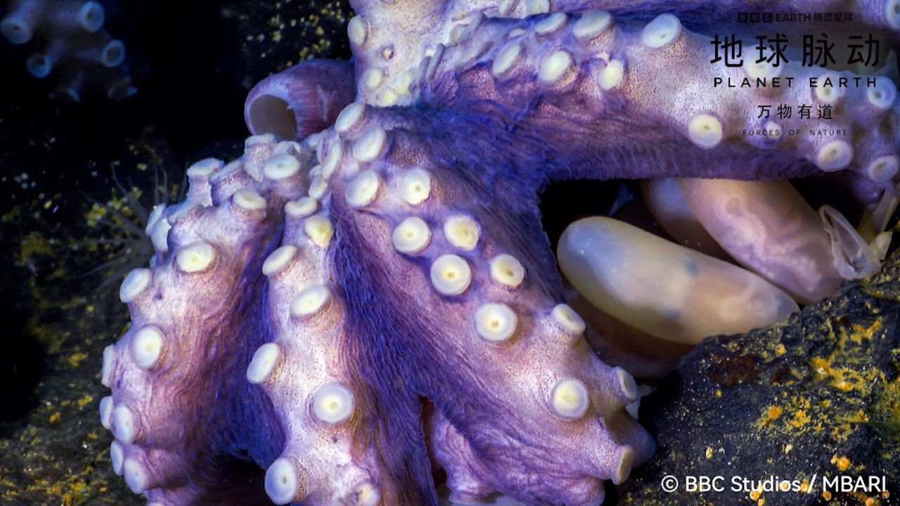 Planet Earth: Forces of Nature backdrop