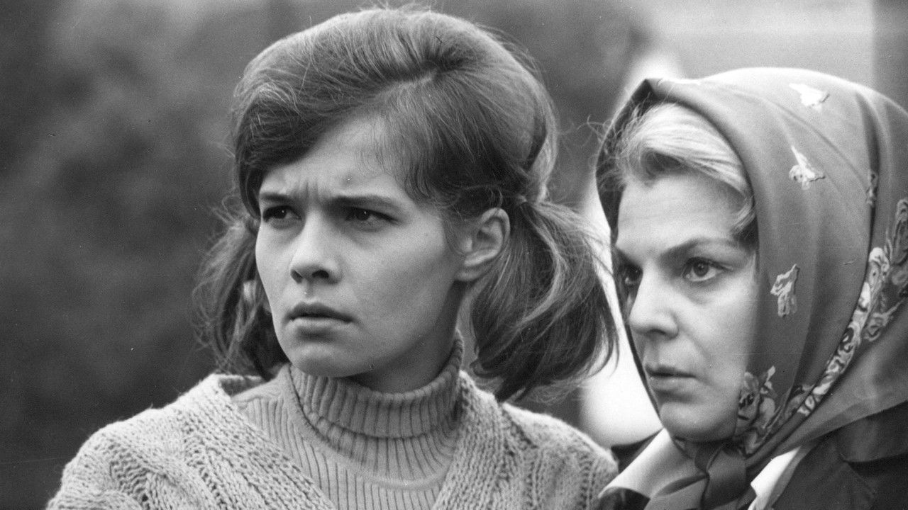 Long White Yard backdrop