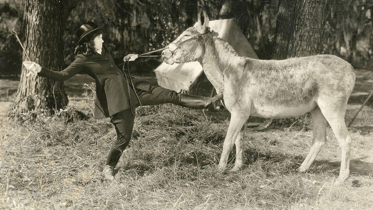 Little Miss Rebellion backdrop
