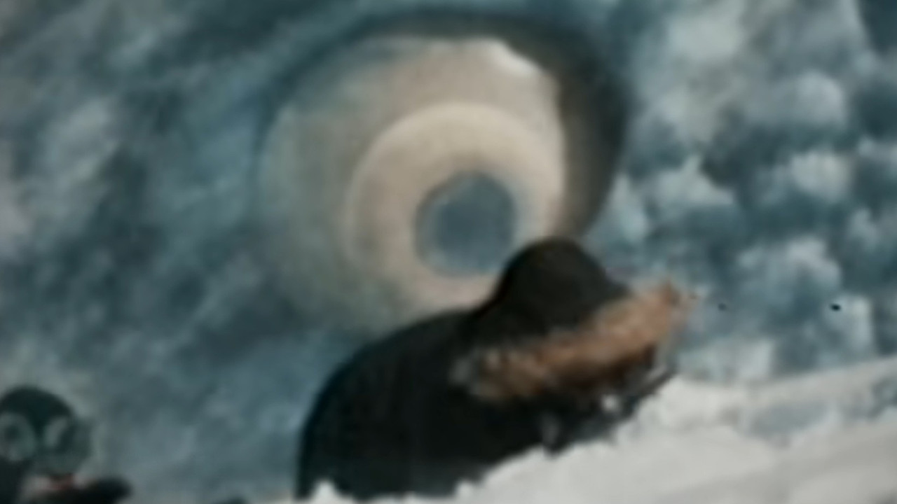 Sub-Zero Terror backdrop