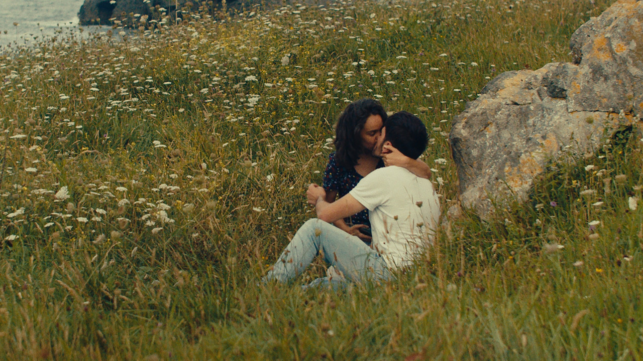 Notes on a Summer backdrop