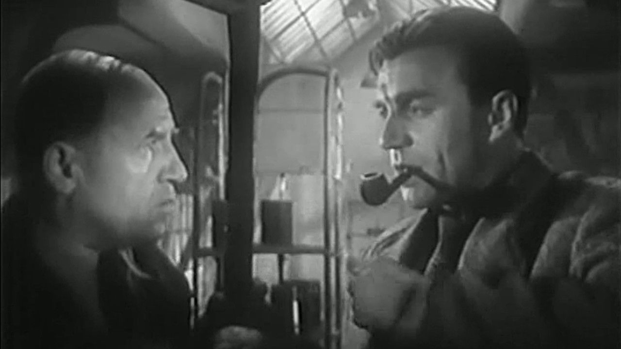 Battle on the Way backdrop