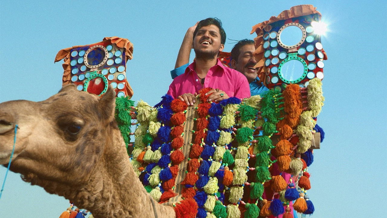 Stray Dogs Come Out at Night backdrop