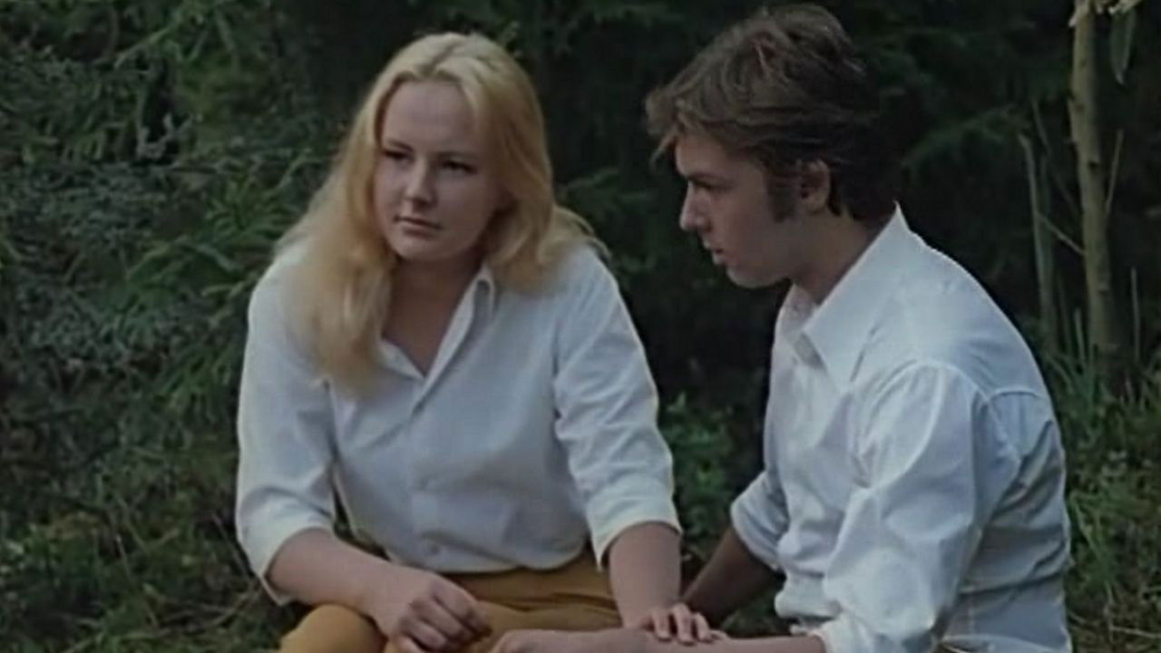 First Summer backdrop